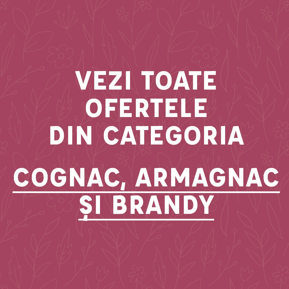 Cognac & Armagnac & Brandy